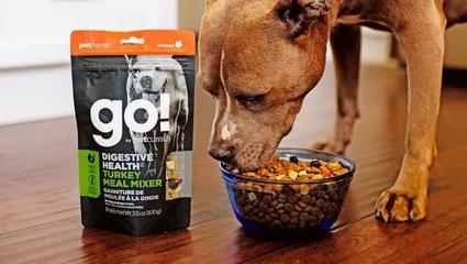 精彩創意設計——寵物糧食品類新趨勢