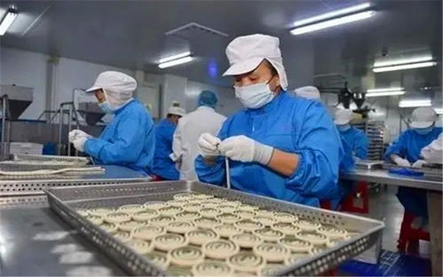 在小縣城投入20萬辦廠 聚焦寵物食品，掘金藍(lán)海市場(chǎng)的快車道