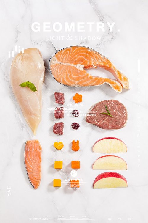 電商視覺(jué)突圍 成都寵物食品攝影的藝術(shù)與實(shí)戰(zhàn)